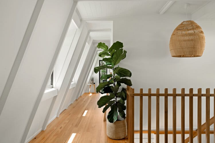 White open sunny area with timber stairs and floors